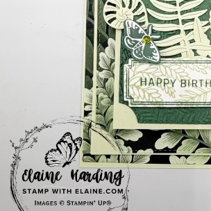 IMG_2974 snk pk attach die cut ferns and bday label