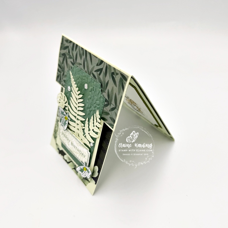 side view of multi-layered tent birthday card with Fern & Flora bundle