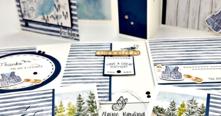 IMG_3012-snk-pk-1-blue_white x 7 cards