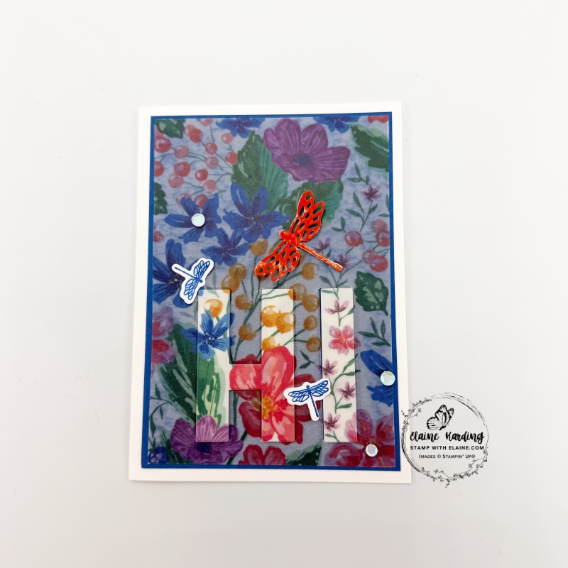 Vellum covered card with Party Alphabets and Scalloped Wishes dies