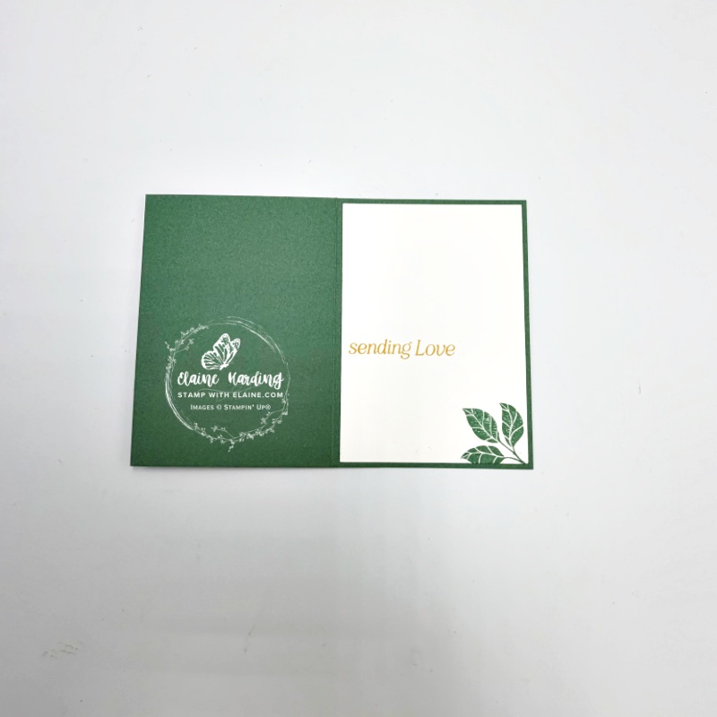 inside birthday card with Berry Botanical vellum