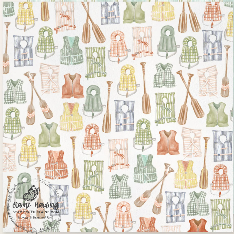 DSP sheet with oars and life-vestsvest
