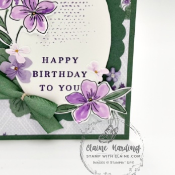 IMG_3144 snk pk front Framed Violets OLEJul26