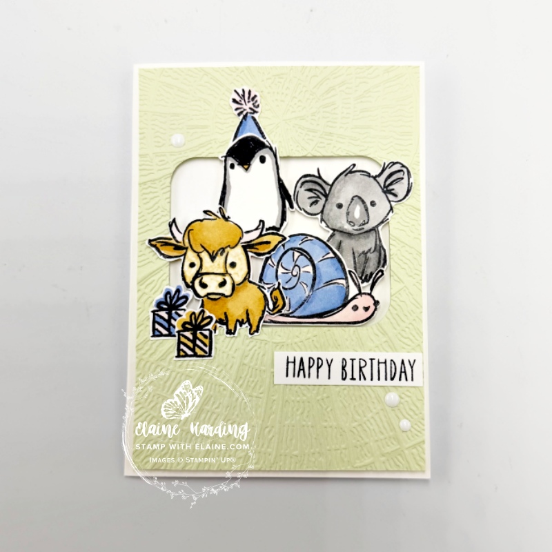 front of card with Wild Bunch product of the month June 26
