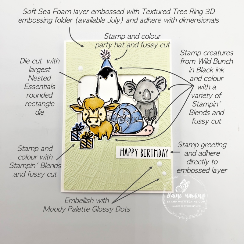 picture instructions on front of Wild Bunch card
