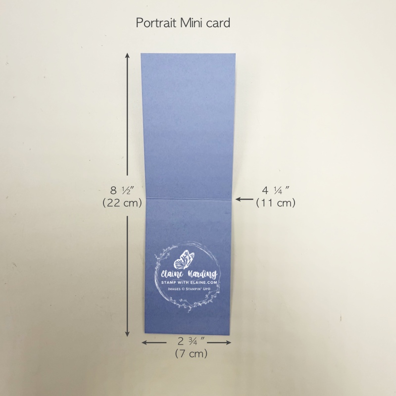 mini card template for fun fold with Wild Bunch