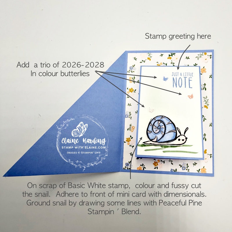 picture instructions for mini card decorating