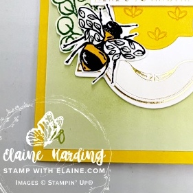 IMG_3311 snk pk Flourishes Frames Sweetly Sentimental hot foil