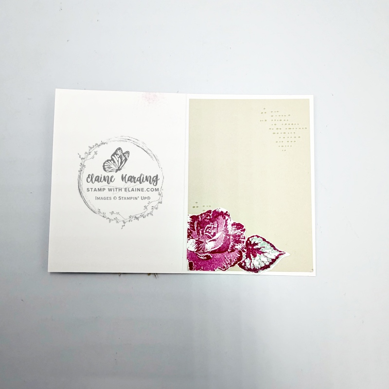 inside begonia belle product of the month Jul 26