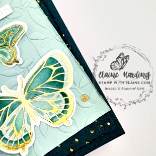 IMG_3314 snk pk Butterfly Flight hot foil card