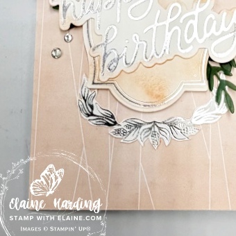IMG_3326 snk pk bday flourishes frames classic greeting HFS