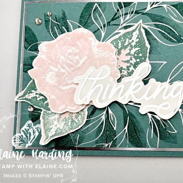 IMG_3322-snk pk HFS Botanical Glow Classic Greetings