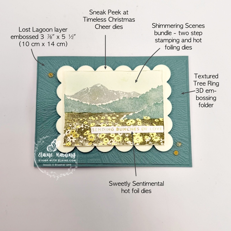 picture instructions on front of landscape birthday card with snk peek of Timeless Christmas cheer dies