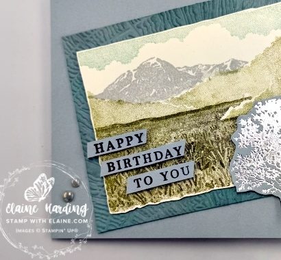 IMG_3457 snk pk masc bday card Shimering Scenes