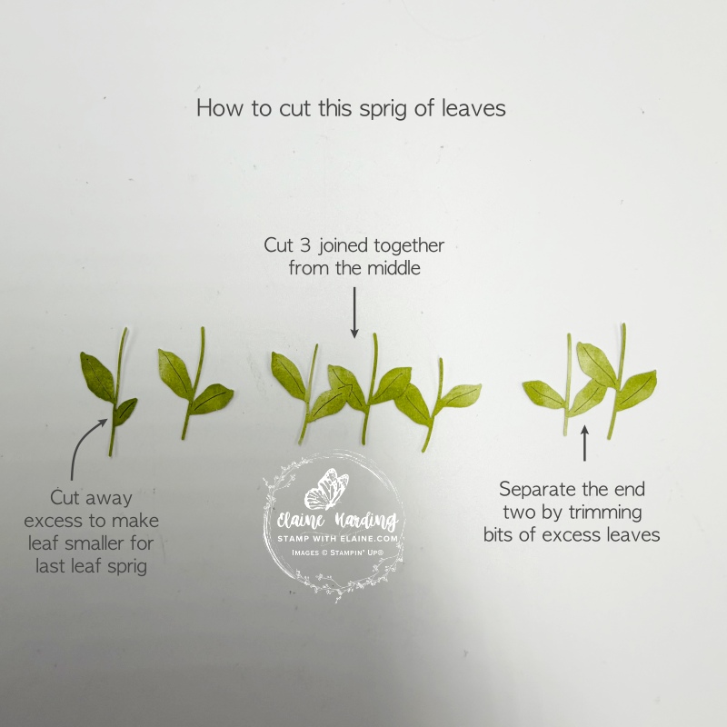 how to cut sprig of leaves