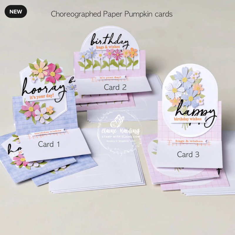 choreagraphed Paper Pumpkin Hooray for Birthdays kit cards