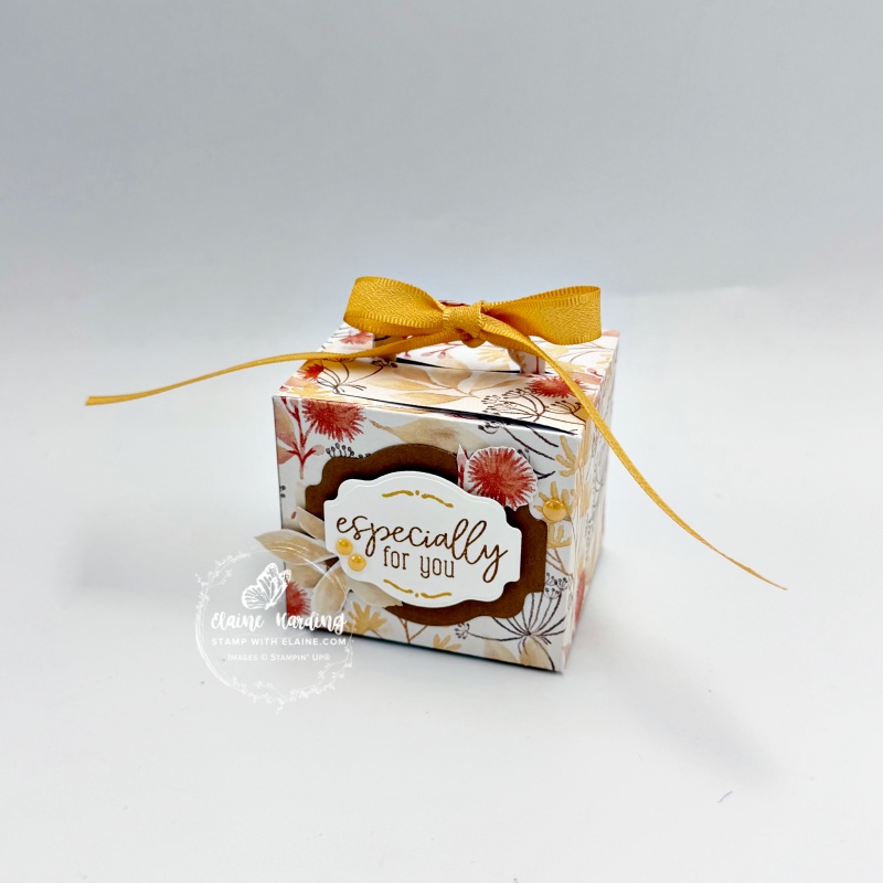 autumnal treat box with Box of Joy bundle