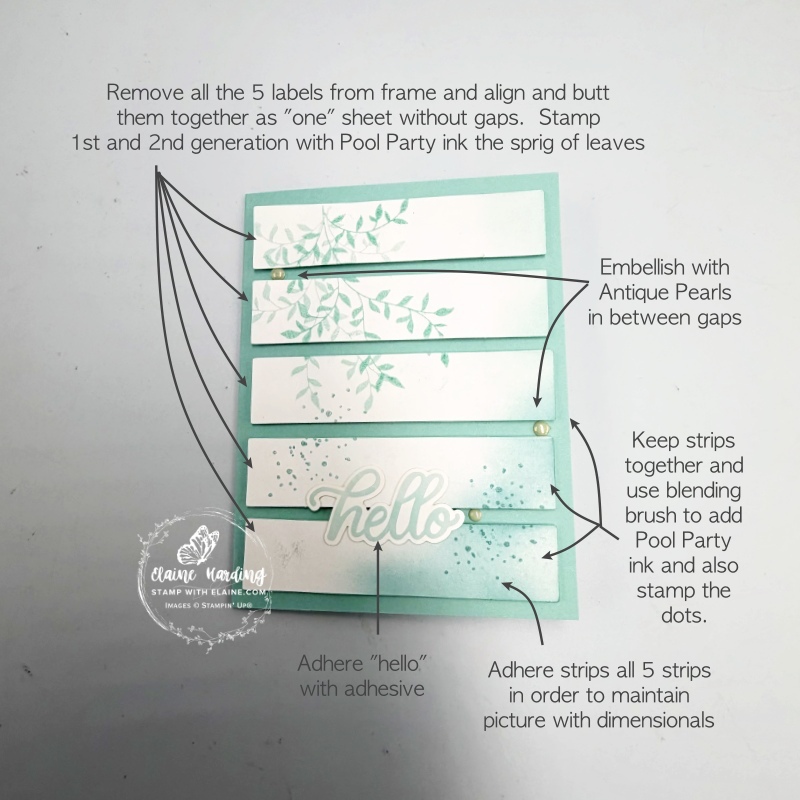 picture instructions on Pool Party labels card
