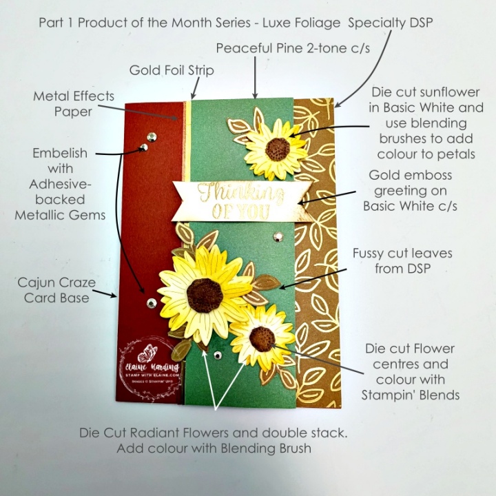picture instructions on Cajun Craze Thinking of you card with Luxe Foliage SDSP