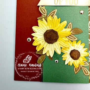 IMG_3678 snk-pk Sep POM Radiant Sunflowers