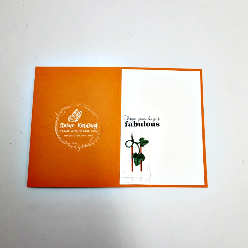 Inside Autumnal cad with Painted Pumpkins bundle