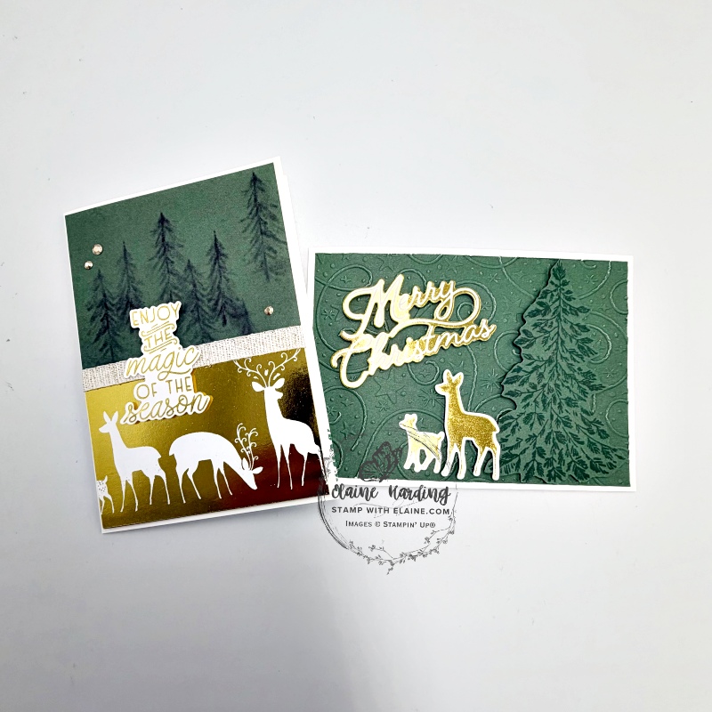 Reverse foiled  card and embossed card with Graceful Evergreen Bundle