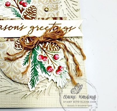 IMG_3727 snk pk CCD5 Noel Tidings