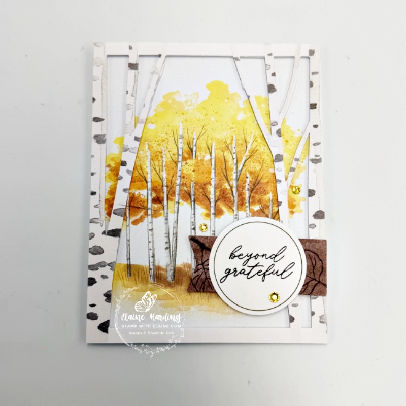 Aspens of Gratitude Kit card design 1