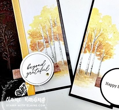 IMG_snk pk altered cards from kit design 1 aspens
