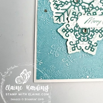 IMG_3822 snk pk dreamy snowflakes hybrid