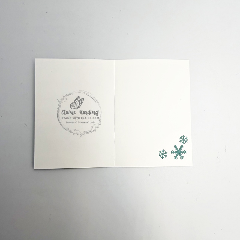 inside pool party two-tone dreamy snowflakes hybrid embossed chrismas card
