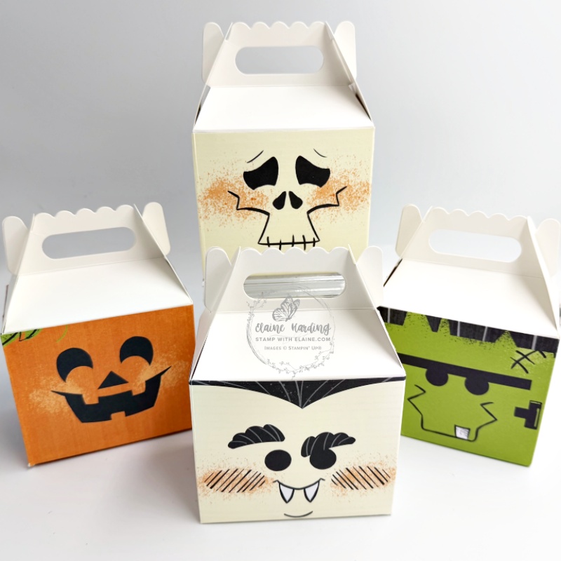 White gabled boxes with spooktacular DSP