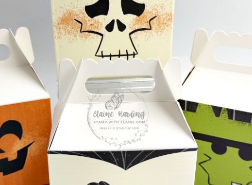 IMG_3846 snk pk Spooktacular boxes x 4