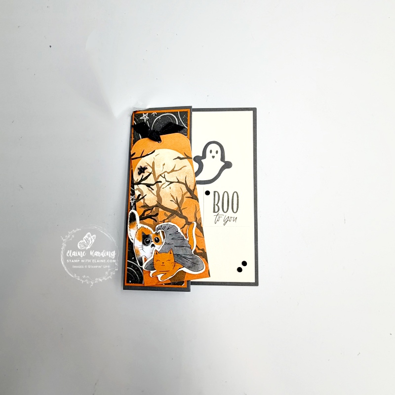 z-fold halloween card with oh my fright bundle