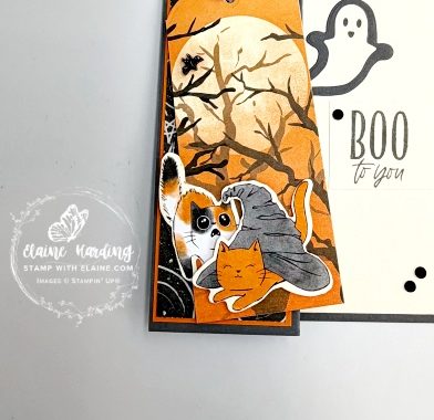 IMG_3875- snk -pk-z-fold-halloween-oh-my-fright-1.jpeg