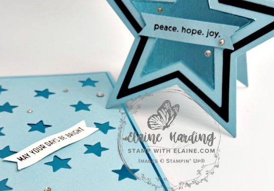 IMG_3889-snk-pk-both cards POM Shining Stars Oct 26
