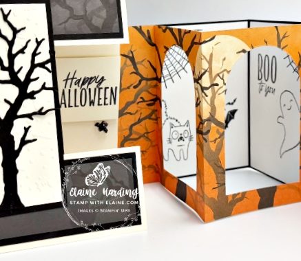 IMG_3896 snk pk 2-h_ween fun fold cards